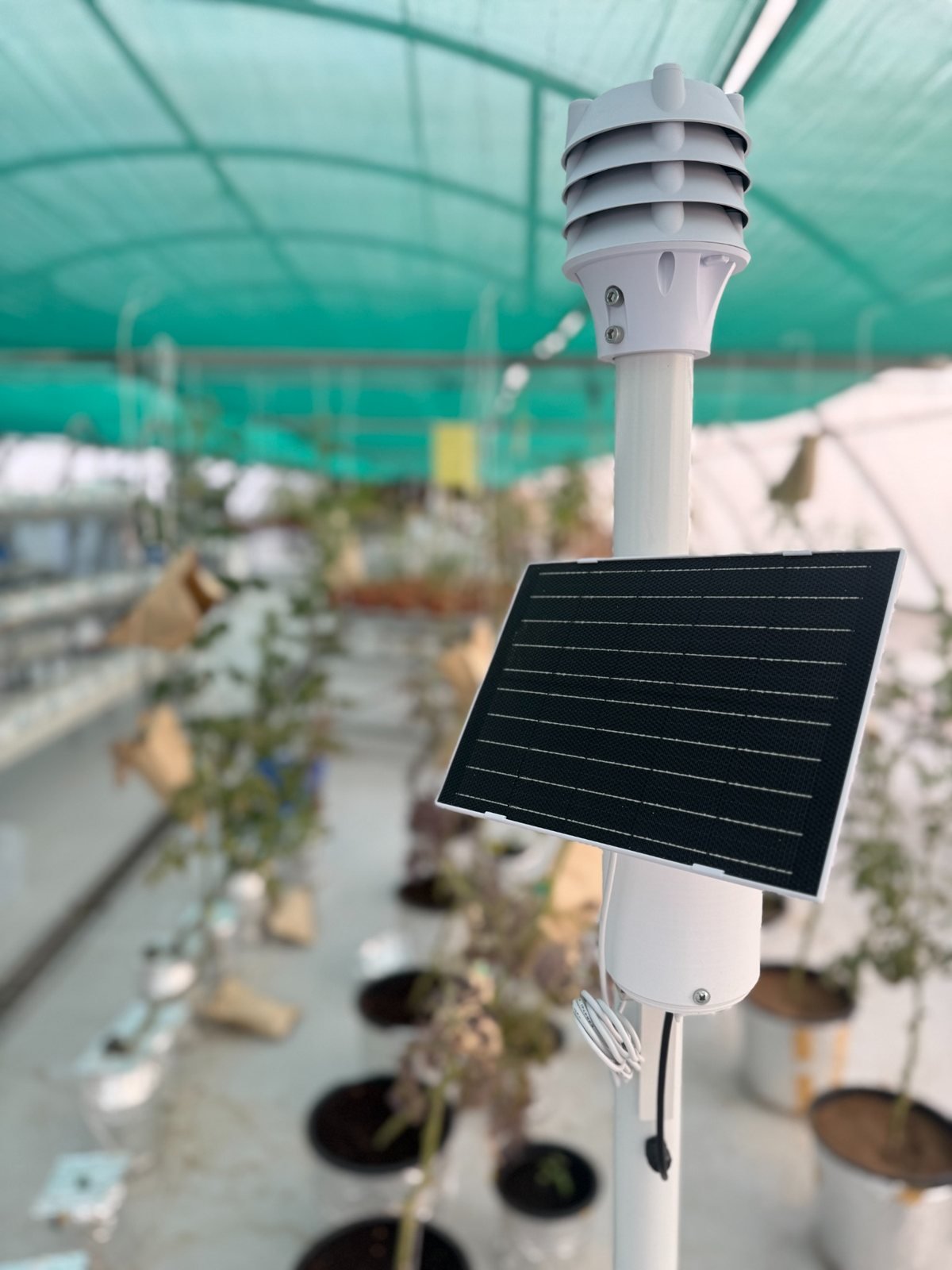 AIN Weather Station; actual supplied product photograph